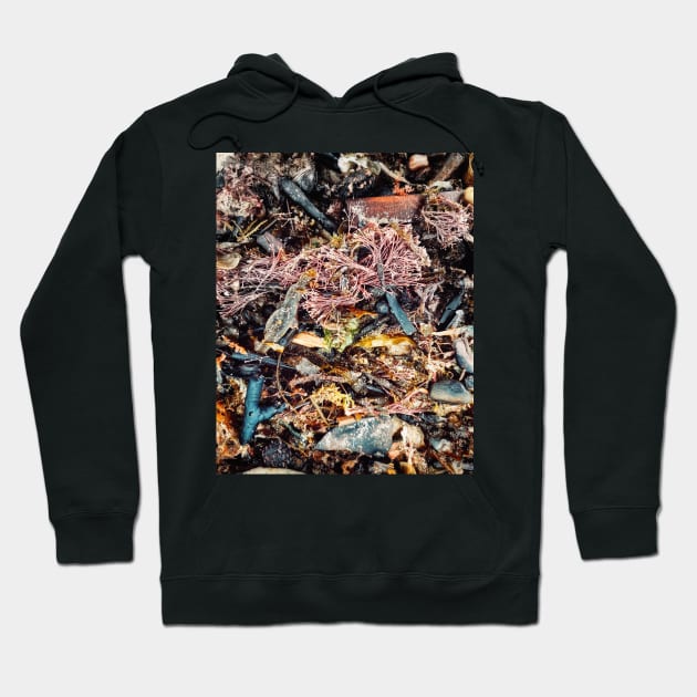 Seaweed Studies 19 Hoodie by goodieg